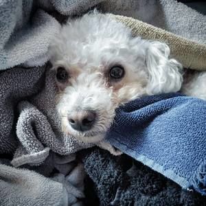 Meet your Posher, Byron